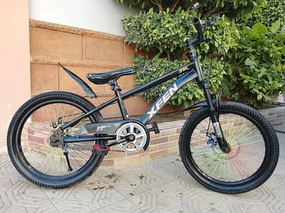 XFEN Imported Cycle - 20 size - 0320/2257/271
