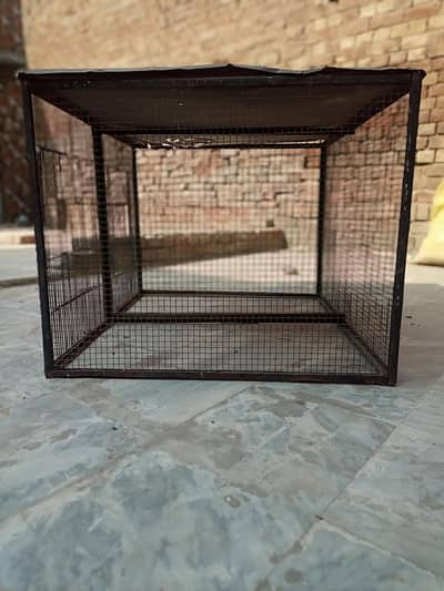 pinjra for hens