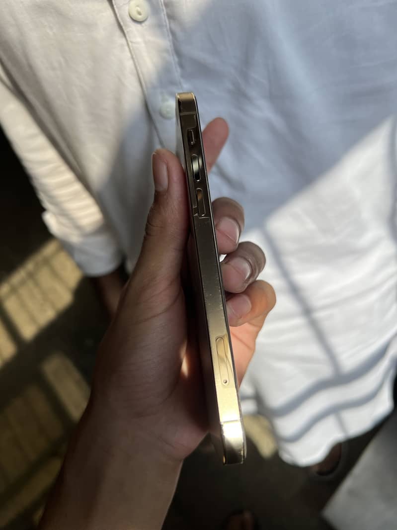 Apple iPhone 12 Pro 4