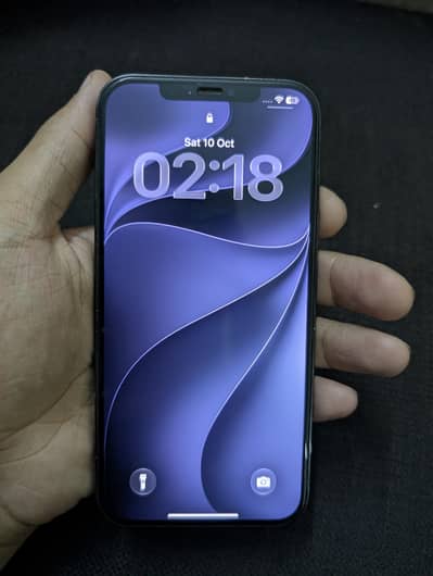Apple iPhone 12 Pro Max