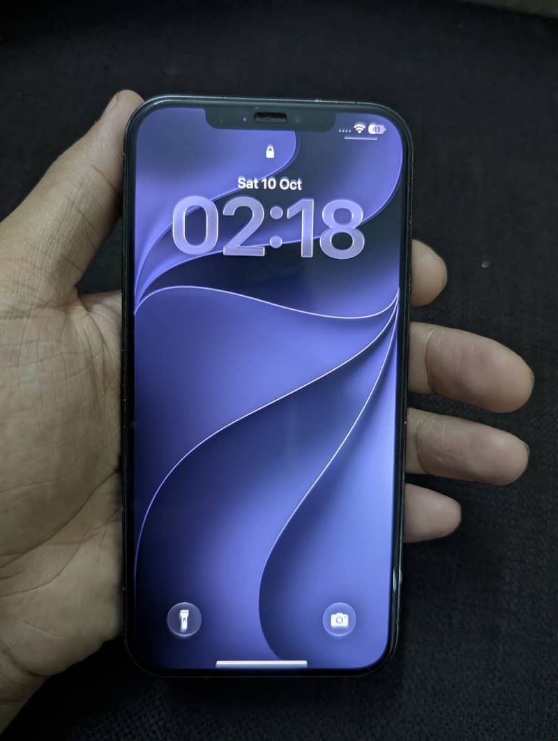 Apple iPhone 12 Pro Max 0