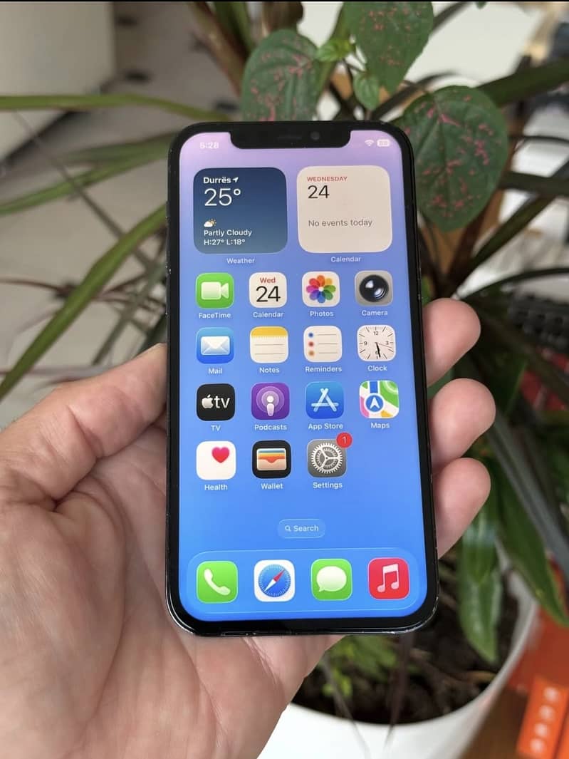 Apple iPhone 12 Pro 1