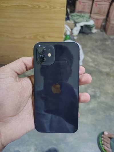 Apple iPhone 12