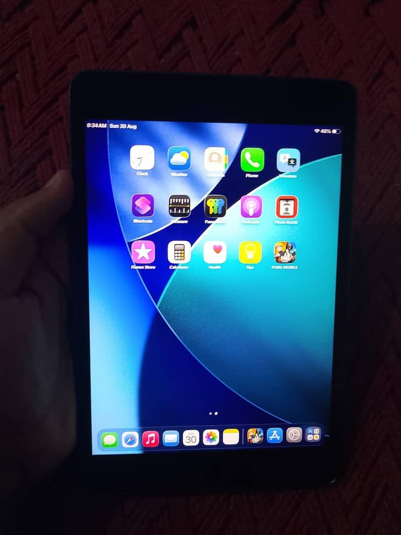 I pad mini 5 3