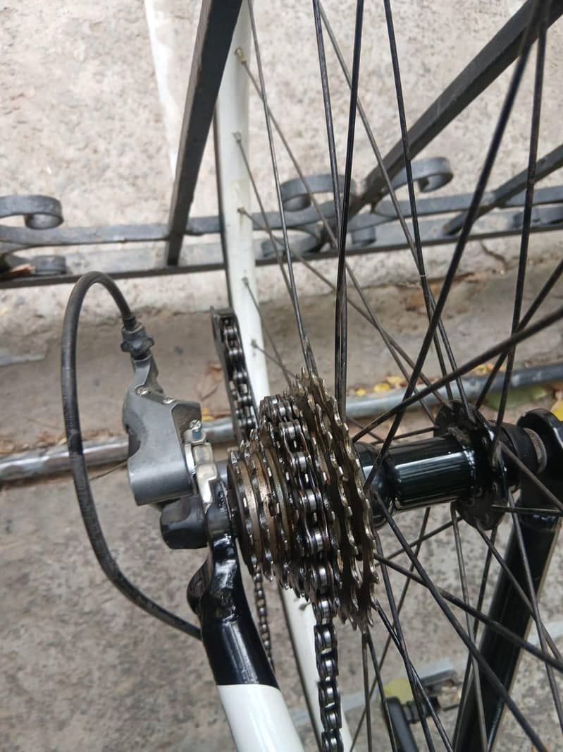 premium, imported Bicycle. 11