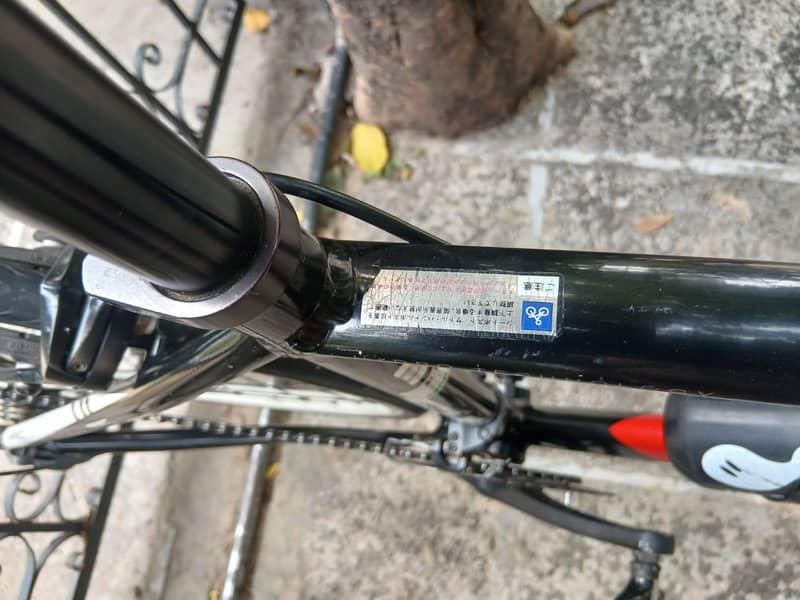premium, imported Bicycle. 19