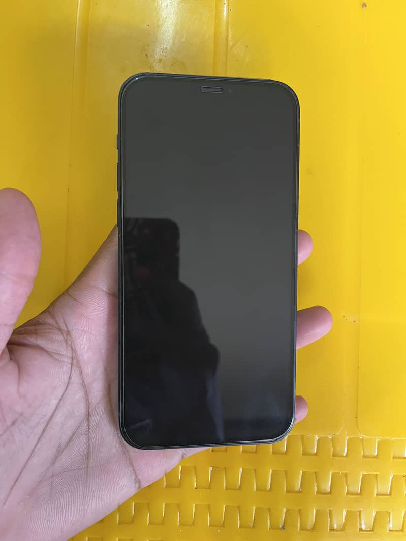 Apple iPhone 12 1