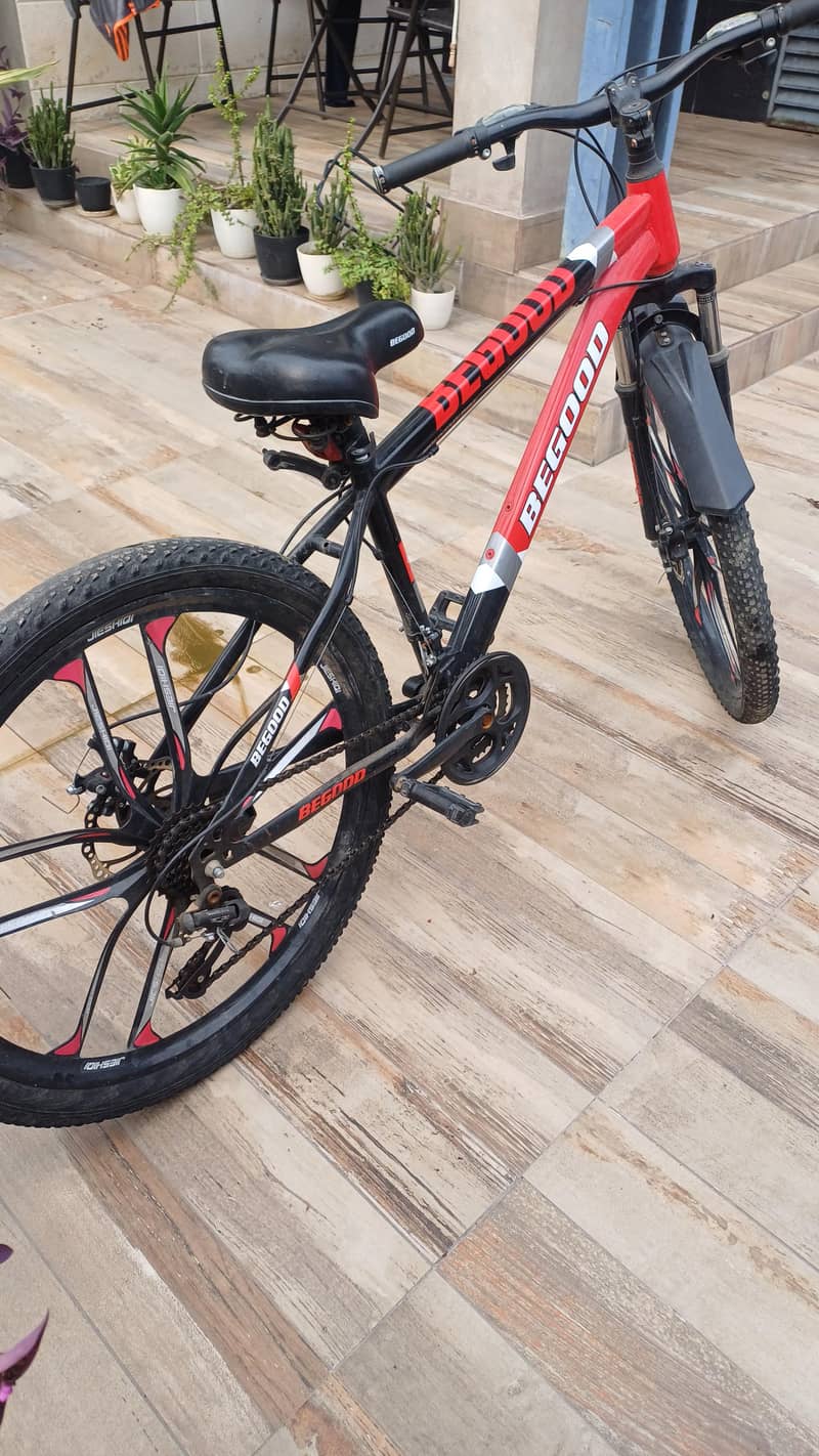 Mountain bike 1
