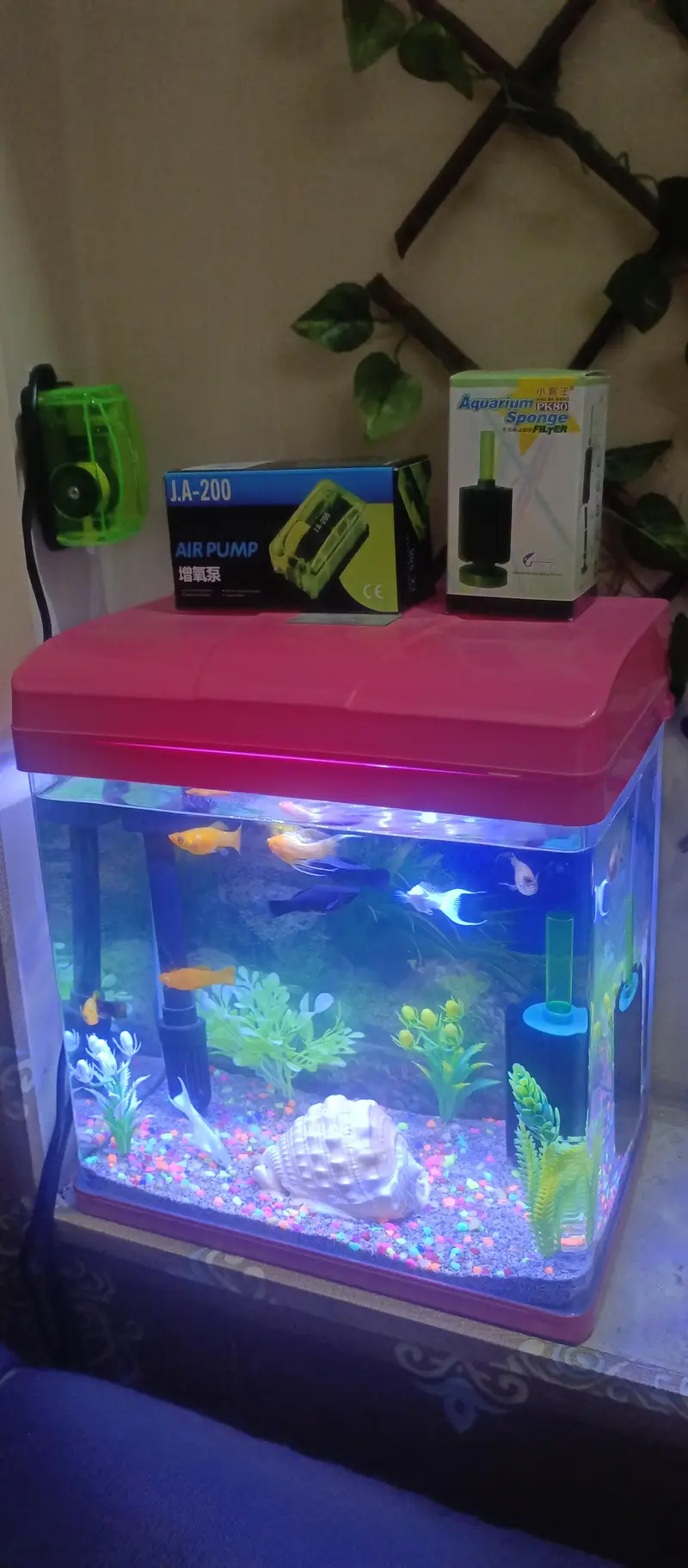 Imported Aquarium — photo 2
