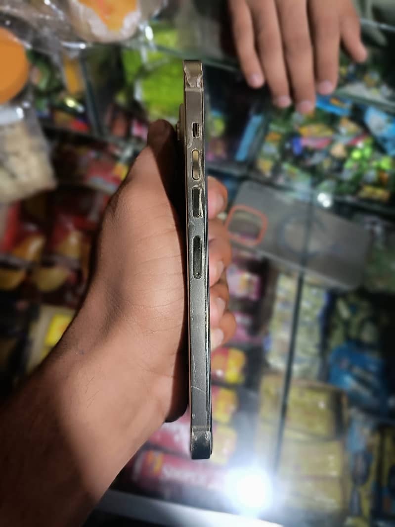 Apple iPhone 13 Pro Max 0
