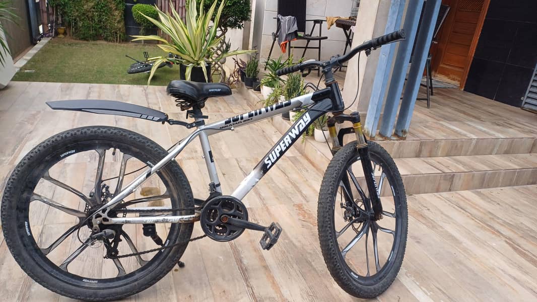 Mountain bike 1