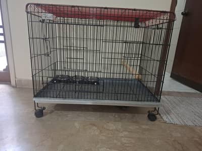 parrot cage