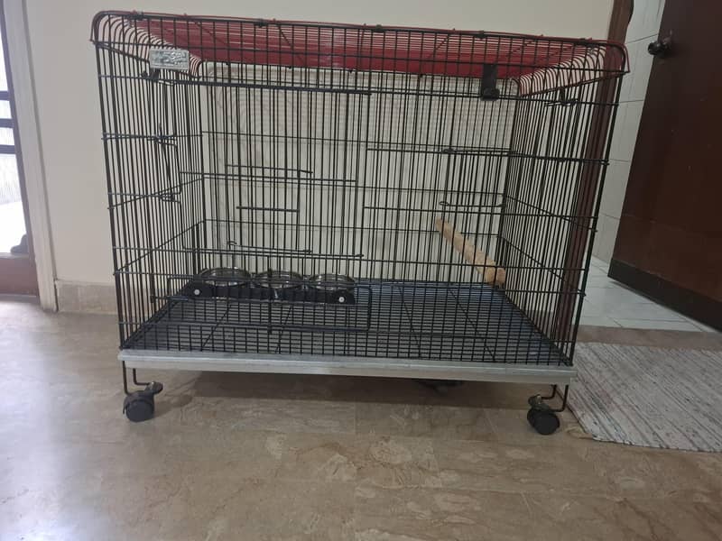 parrot cage 0