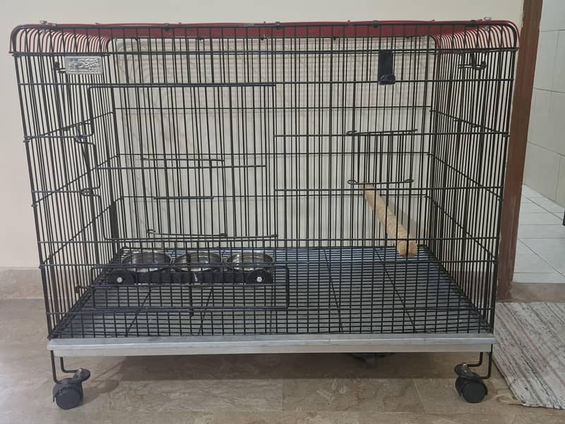 parrot cage 1