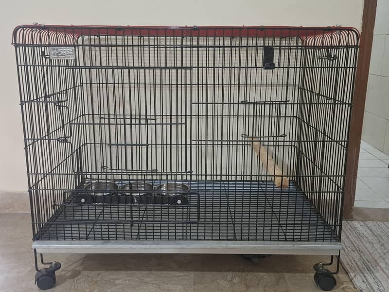 parrot cage 2
