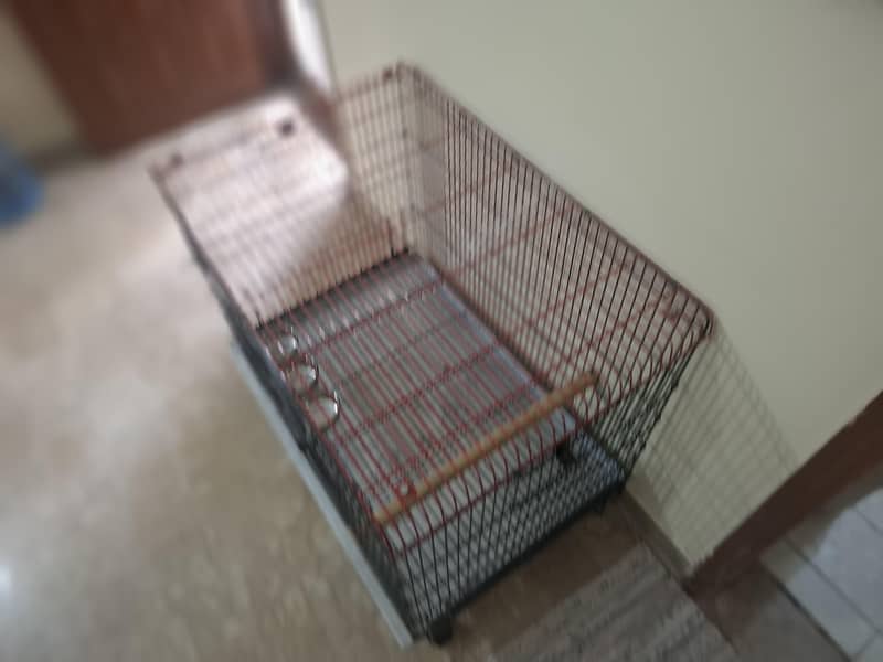 parrot cage 3
