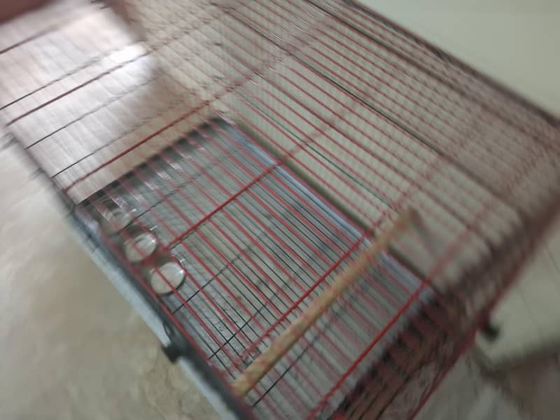 parrot cage 4
