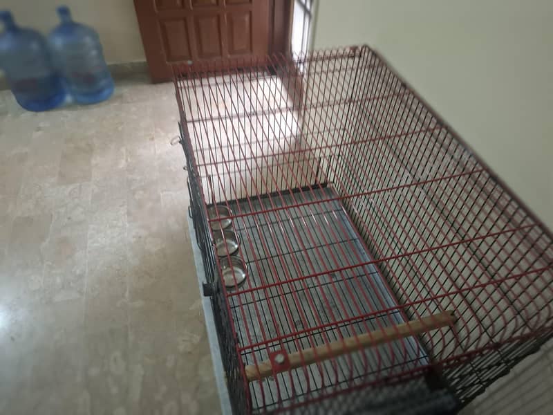 parrot cage 5