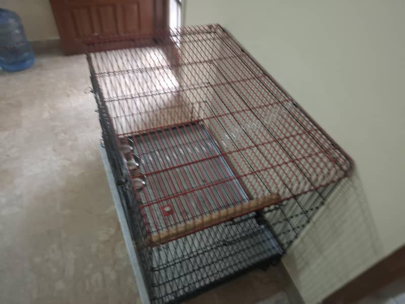 parrot cage 6