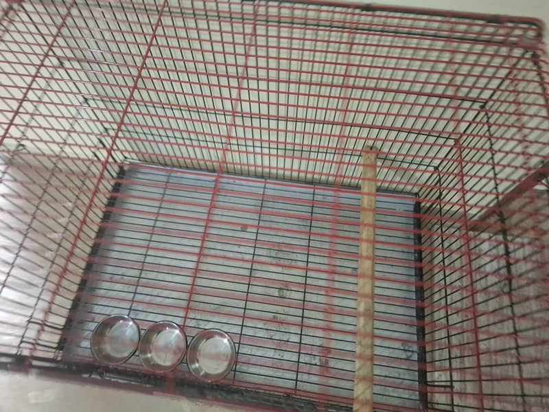 parrot cage 7