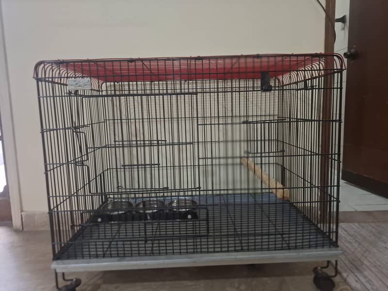 parrot cage 9