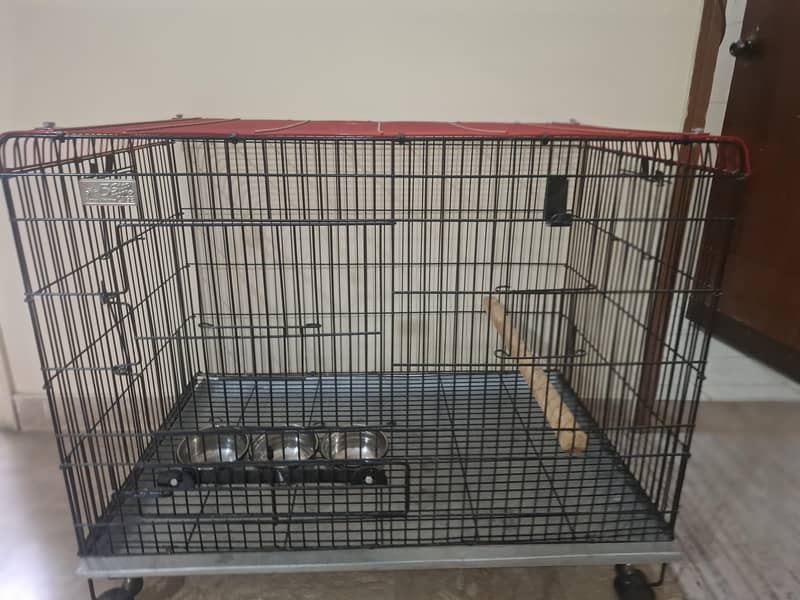 parrot cage 10