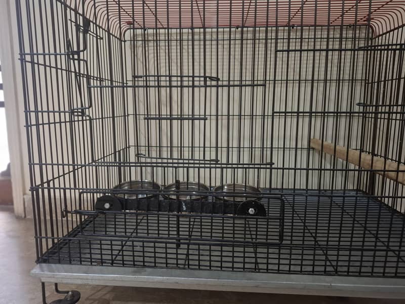 parrot cage 12