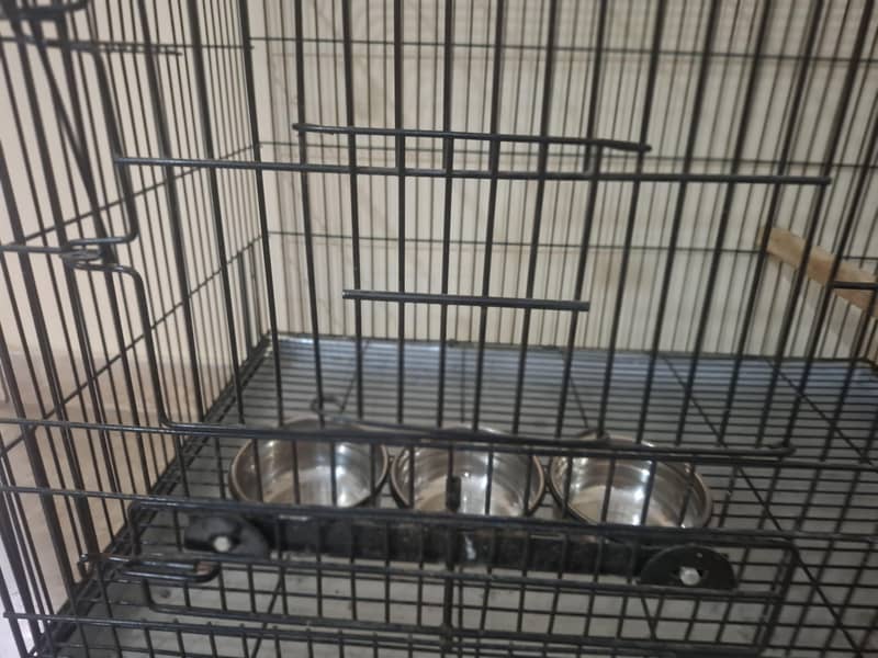 parrot cage 13