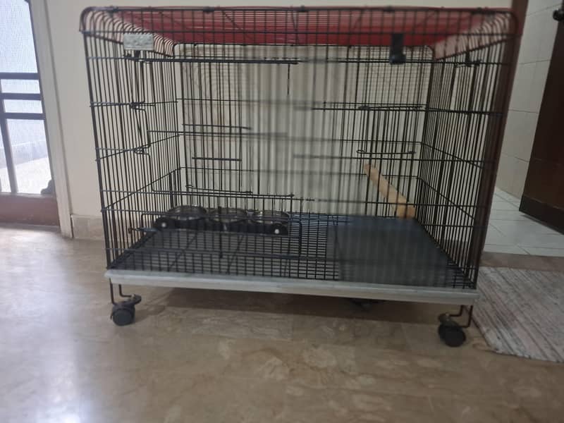 parrot cage 14