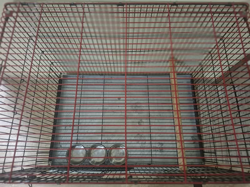parrot cage 15