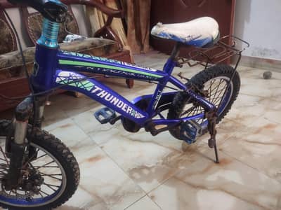 Thunder 16" Disc Brake 360 Rotor - Original Frame - Kids Cycle