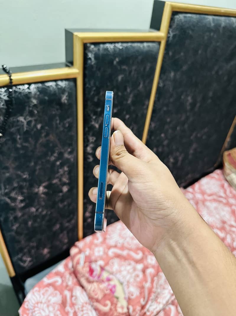 Apple iPhone 12 1