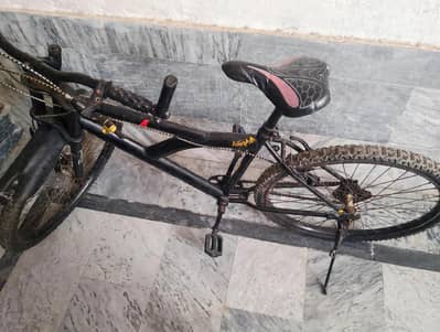 Bicycle
