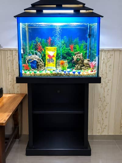 new fish aquarium with all accessories shown.