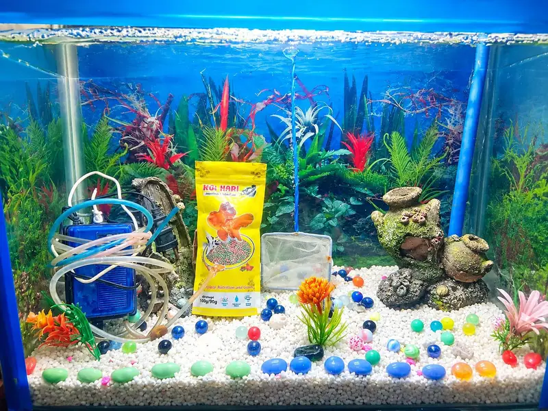 new fish aquarium with all accessories shown. — photo 3
