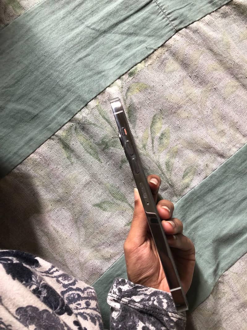 Apple iPhone 13 Pro Max 0
