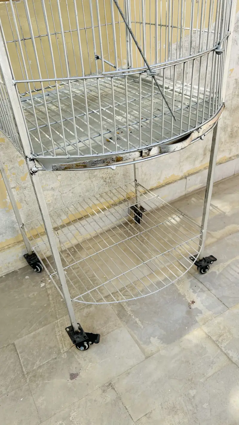 Bird Cage new — photo 3