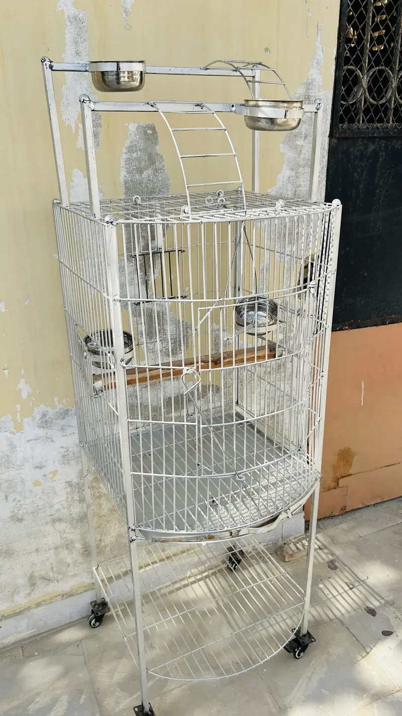 Bird Cage new — photo 4