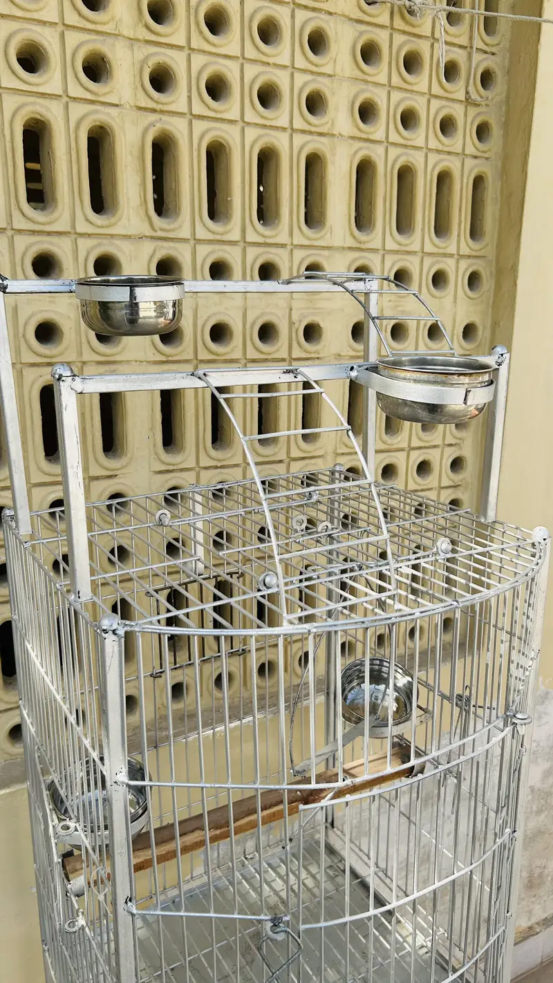 Bird Cage new — photo 7