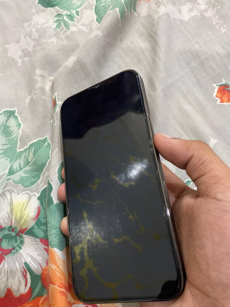Apple iPhone 13 Pro Max 1