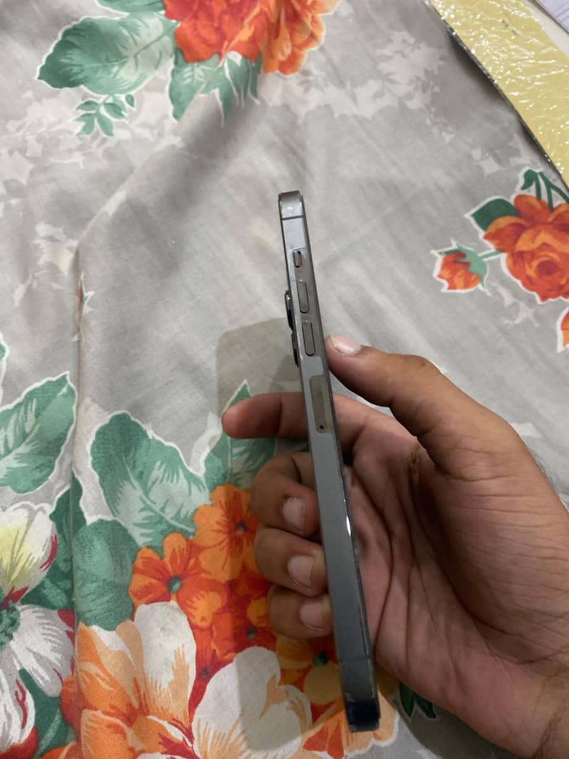 Apple iPhone 13 Pro Max 4