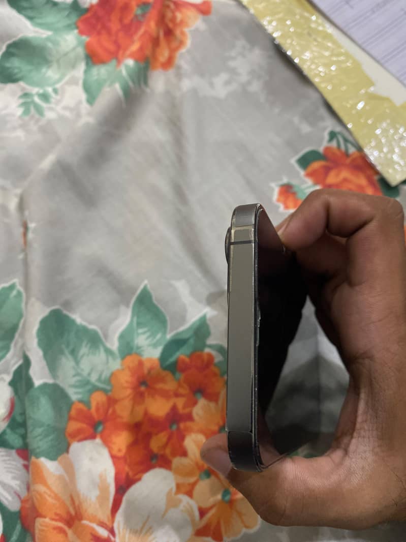 Apple iPhone 13 Pro Max 5