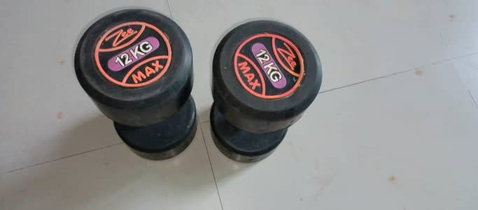 zee max dumbbells 12kg pair in excellent condition