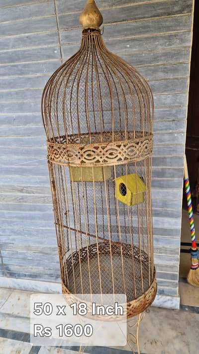 Birds Cages