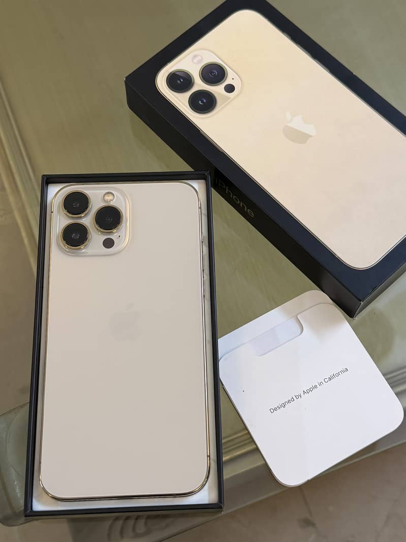 Apple iPhone 13 Pro Max 1
