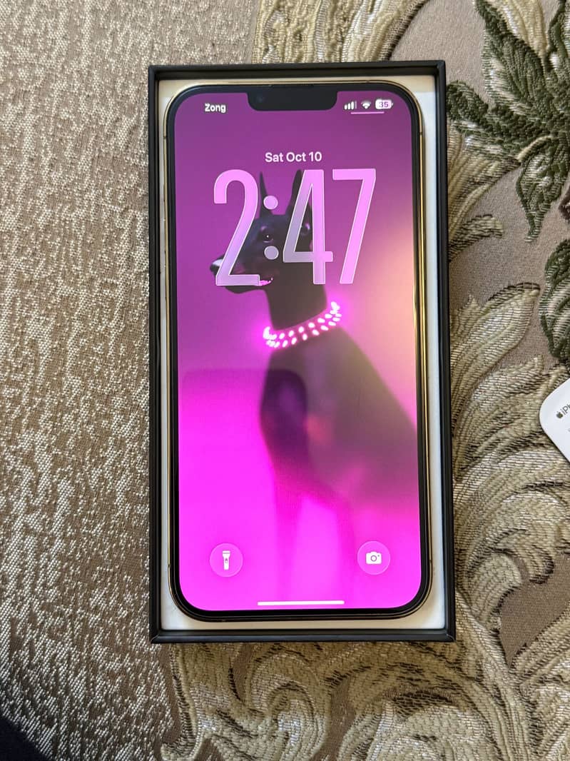 Apple iPhone 13 Pro Max 3