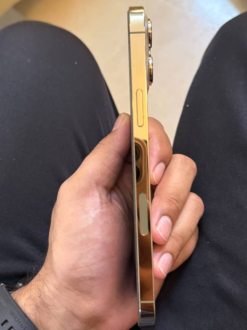 Apple iPhone 13 Pro Max 9