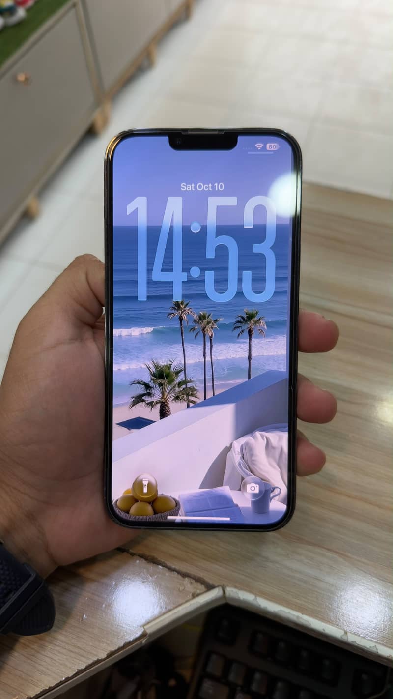 Apple iPhone 13 Pro Max 1