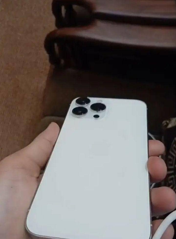 Apple iPhone 13 Pro Max 1