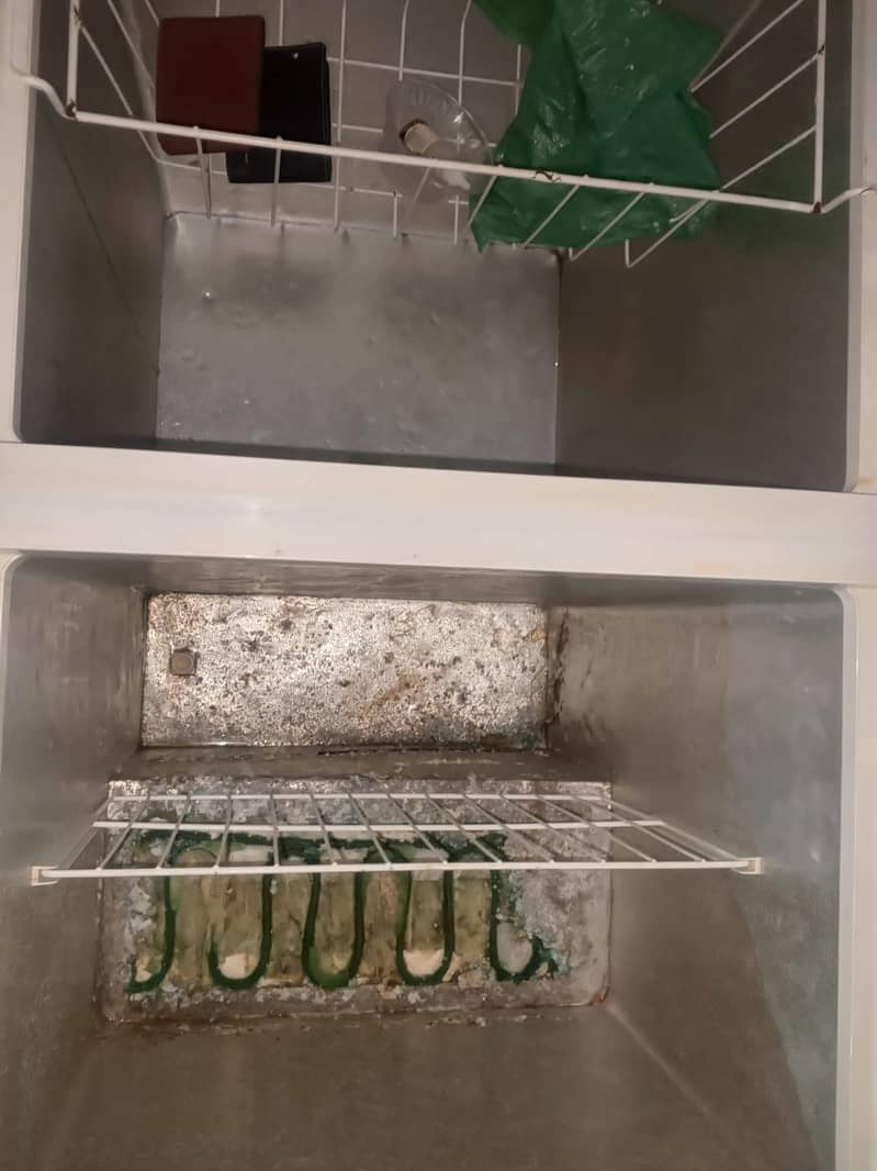 freezer 3